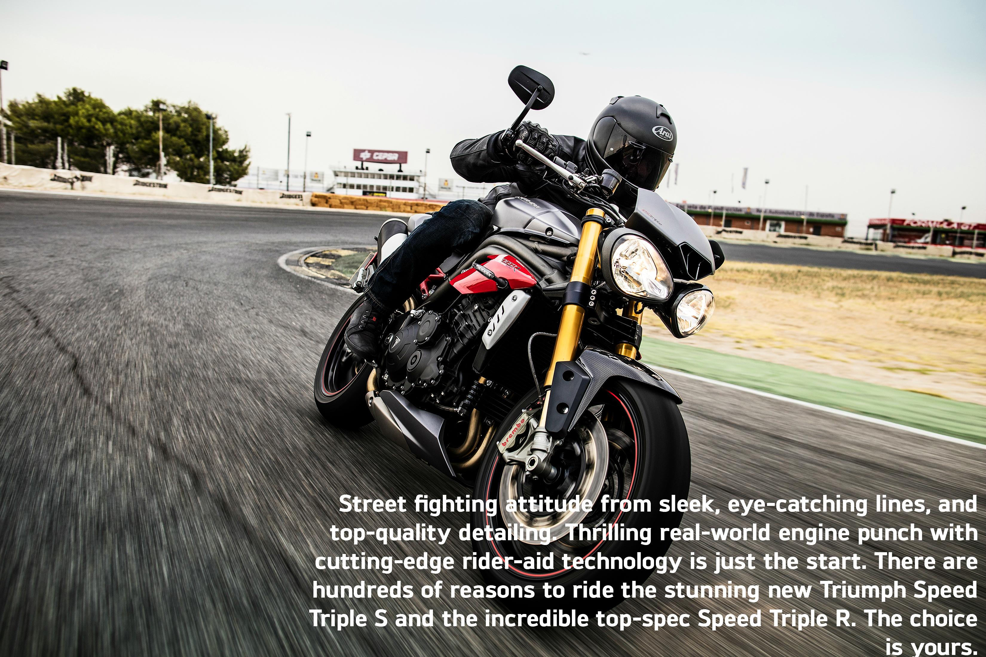 Speed Triple Family Chassis Overview